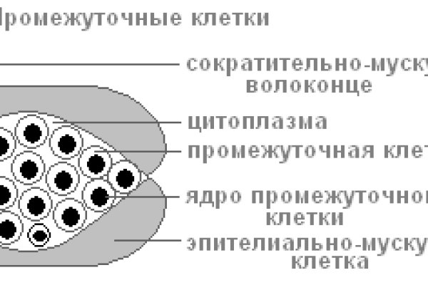 Кракен сайт в тор браузере ссылка