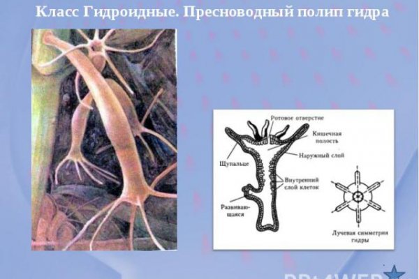 Как зайти на кракен в торе