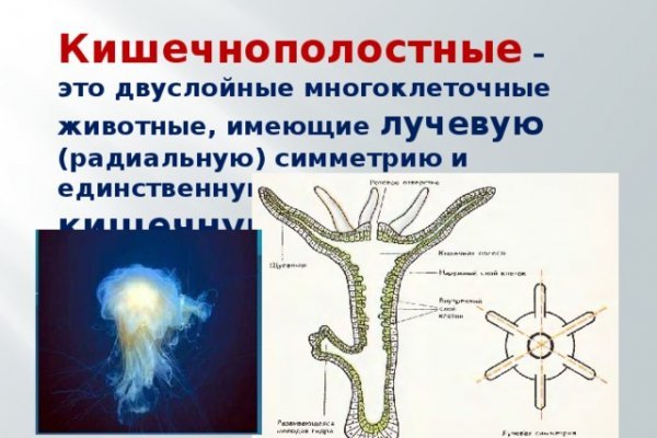 Ссылка на сайт кракен в тор