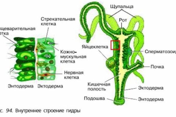 Кракен зеркало на сегодня